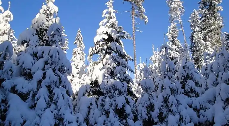 Ferielejlighed i Pudlach