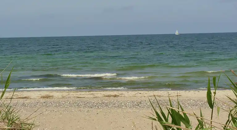 Sommerhus i Börgerende