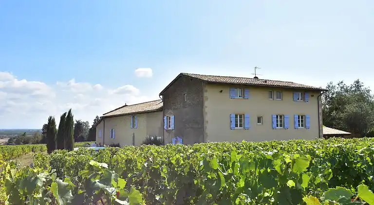 Manor house in La Chapelle-de-Guinchay