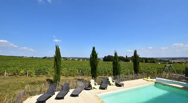 Manor house in La Chapelle-de-Guinchay