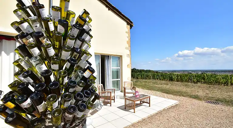 Manor house in La Chapelle-de-Guinchay