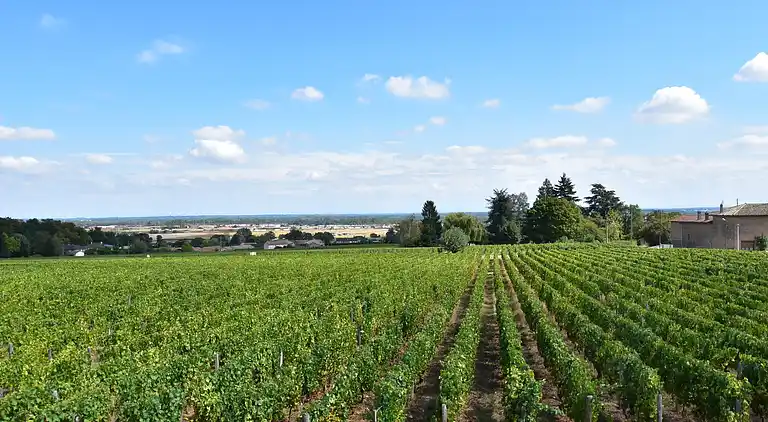 Manor house in La Chapelle-de-Guinchay