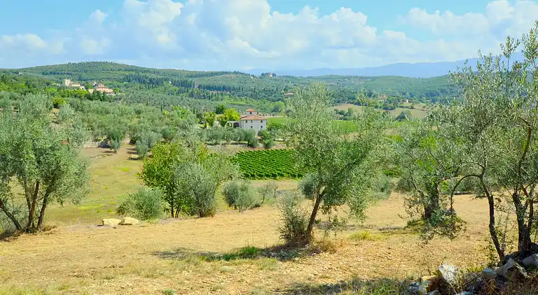 Vakantiehuis in Rignano sull'Arno