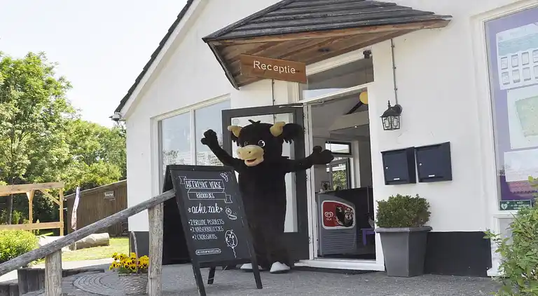 Sommerhus i Zwiggelte