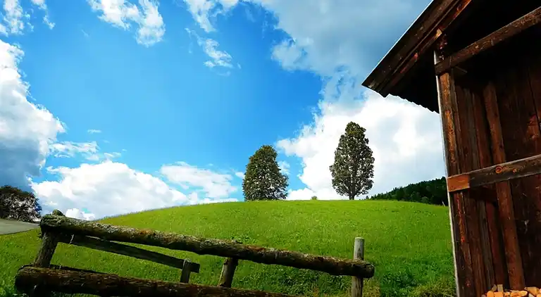 Holiday home in Saalbach-Hinterglemm