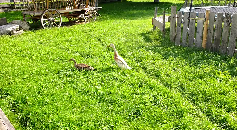 Ferielejlighed i Burggen