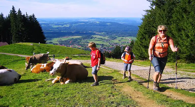 Ferielejlighed i Burggen