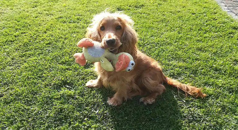 Ferielejlighed i Silbecke