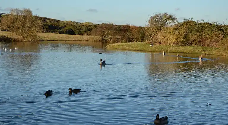 Ferielejlighed i Oye-Plage