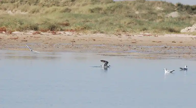 Ferielejlighed i Oye-Plage