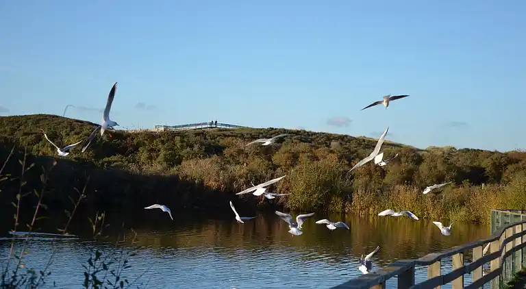 Ferielejlighed i Oye-Plage