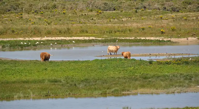 Ferielejlighed i Oye-Plage