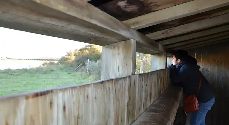 Ferielejlighed i Oye-Plage