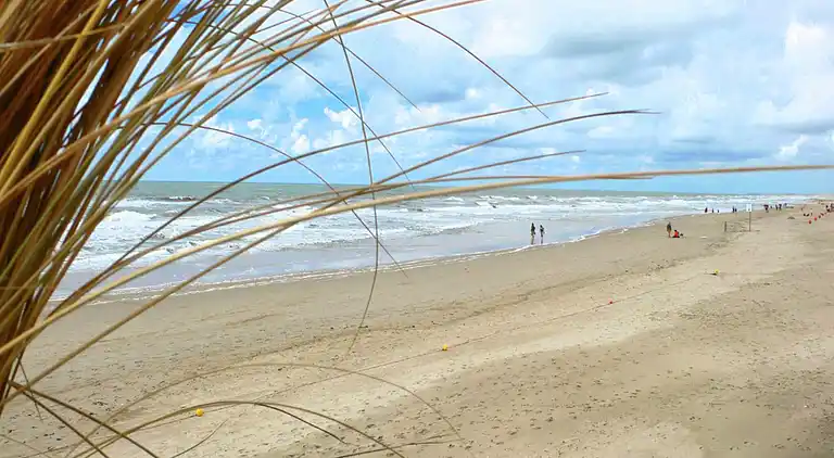 Sommerhus i Callantsoog