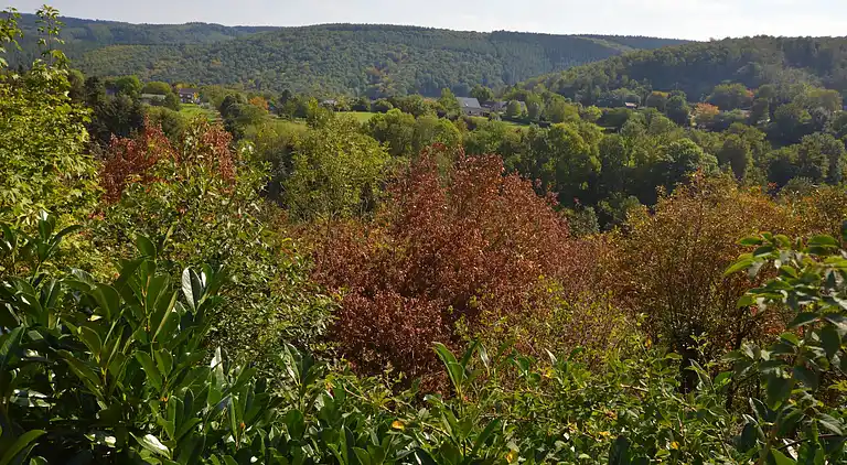 Sommerhus i Fraipont