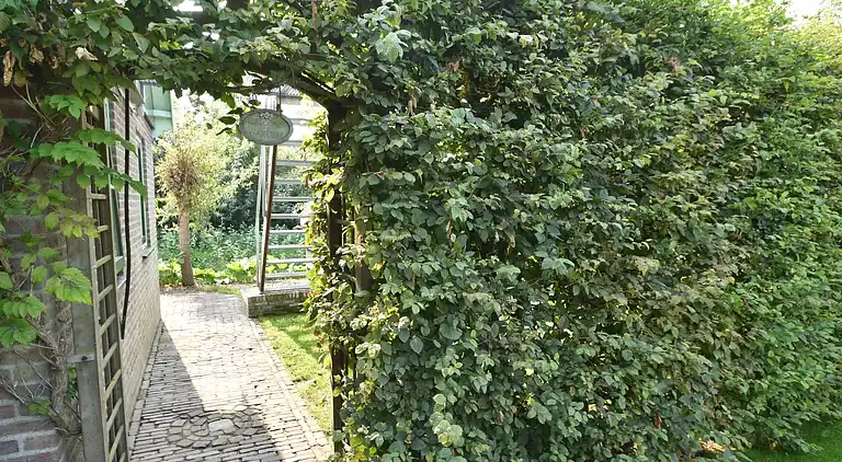 Ferielejlighed i 't Zand