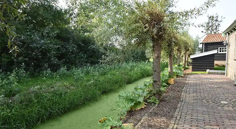 Ferielejlighed i 't Zand