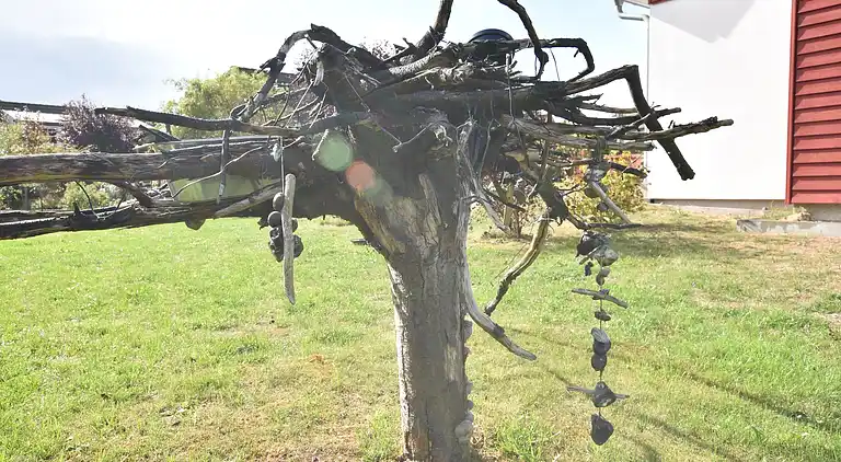 Sommerhus i Rethwisch