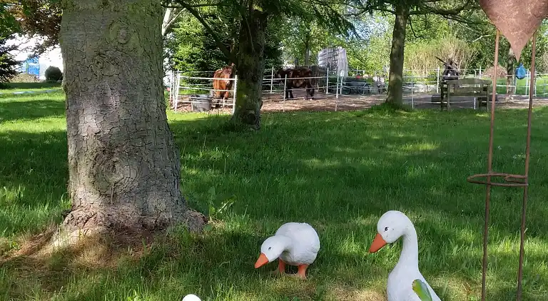 Ferielejlighed i Reiste