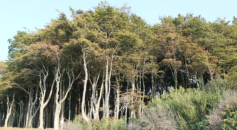 Ferielejlighed i Rerik