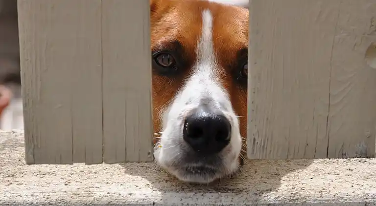 Holiday home in Cournonterral