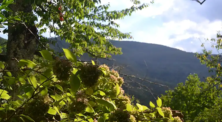 Holiday home in Bagni di Lucca