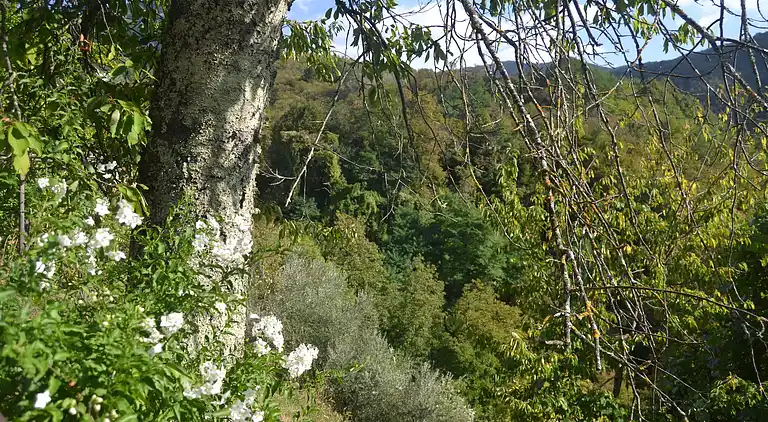 Holiday home in Bagni di Lucca