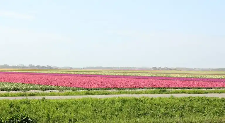 Ferielejlighed i 't Zand