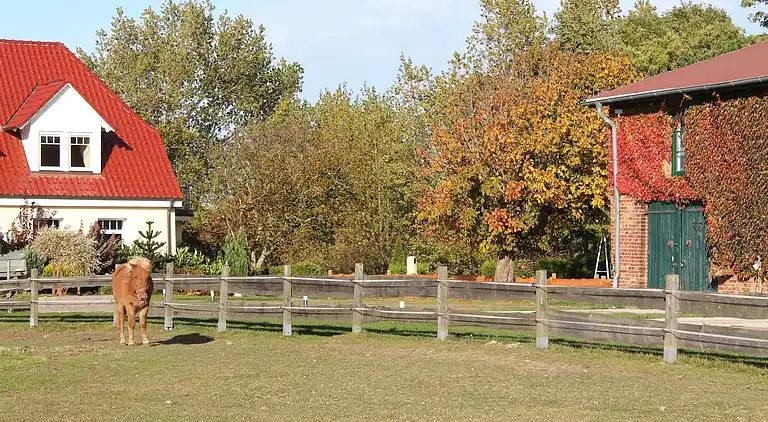Holiday home in Kühlungsborn