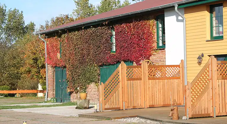 Holiday home in Kühlungsborn