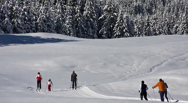 Holiday home in Berg im Drautal