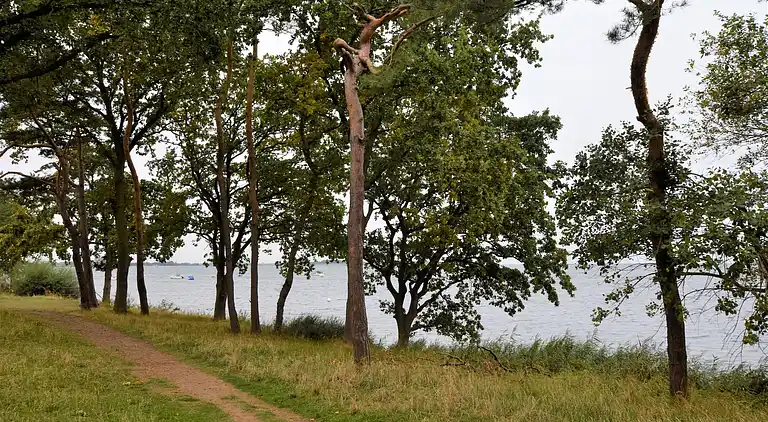 Holiday home in Klein Strömkendorf