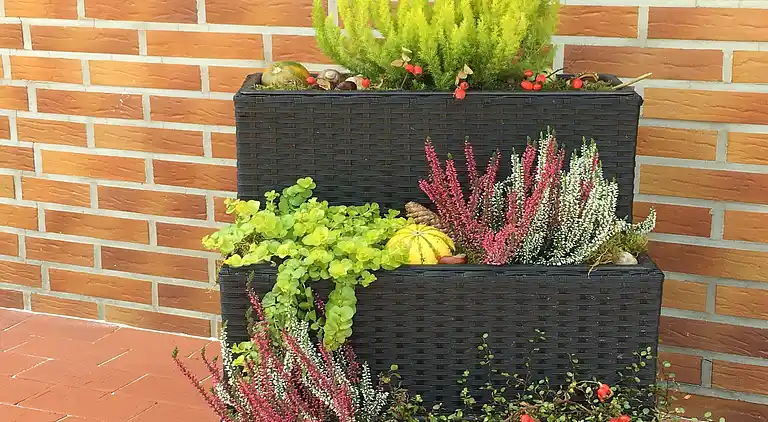 Sommerhus i Altenbrak