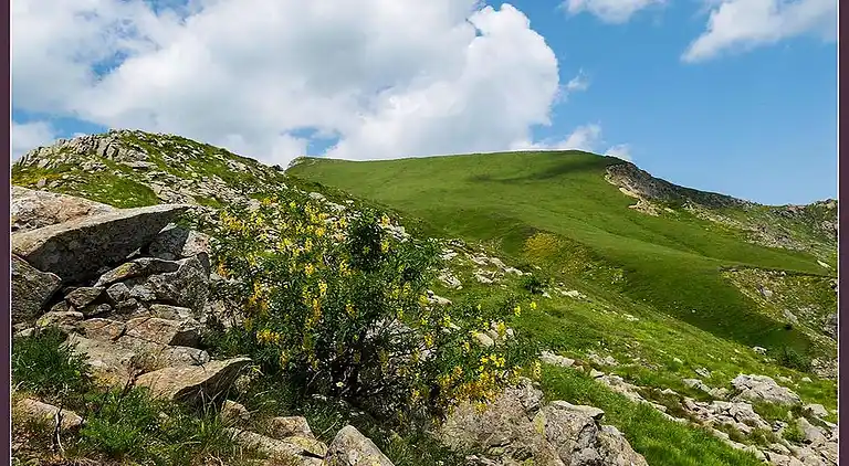 Sommerhus i Campo Tizzoro
