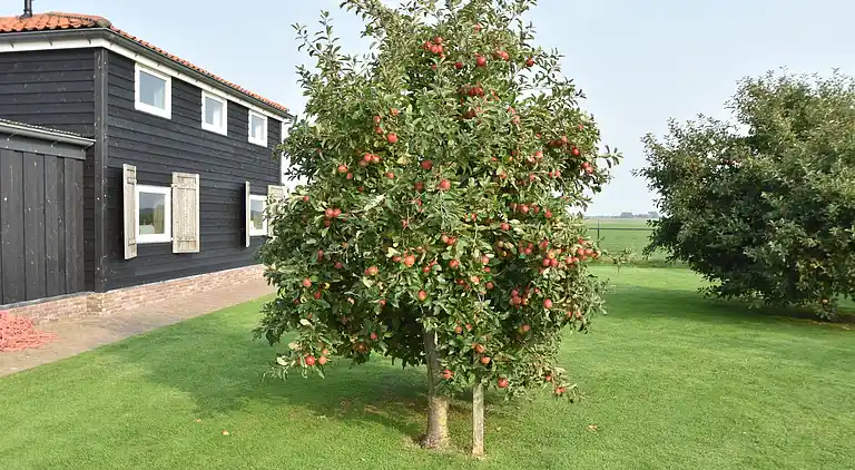 Ferielejlighed i Burgerbrug