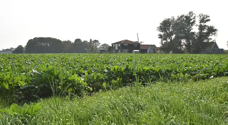 Ferielejlighed i Burgerbrug