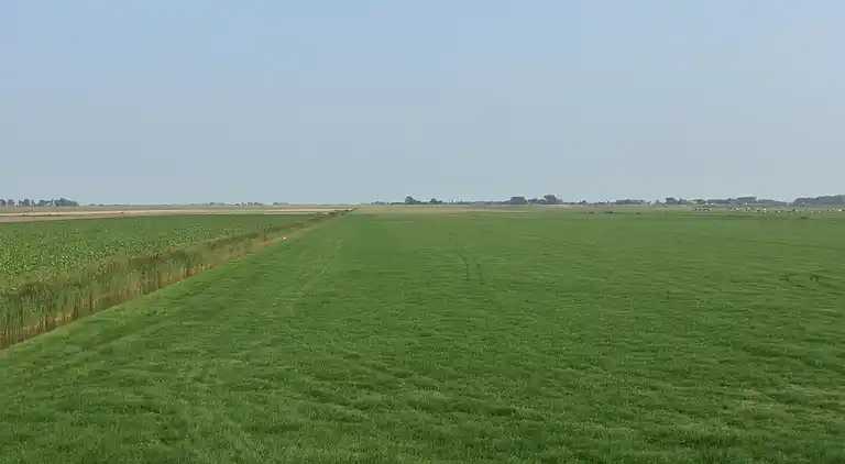 Ferielejlighed i Burgerbrug