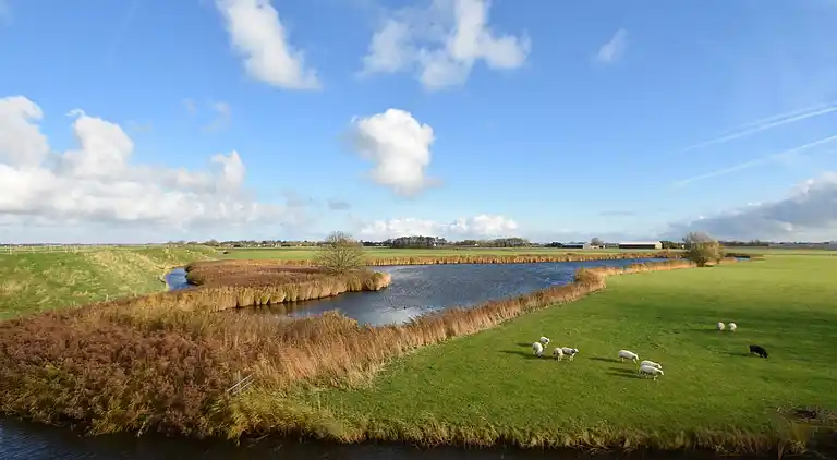 Ferielejlighed i Burgerbrug