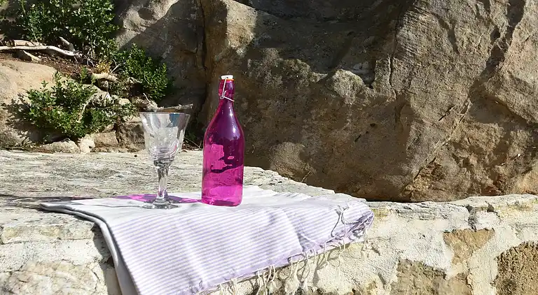 Sommerhus i Occitanie