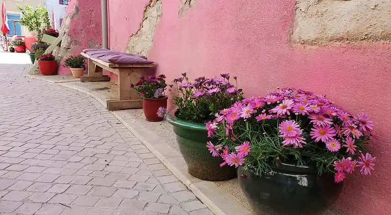 Sommerhus i Occitanie