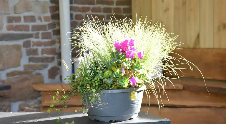 Sommerhus i Amonines