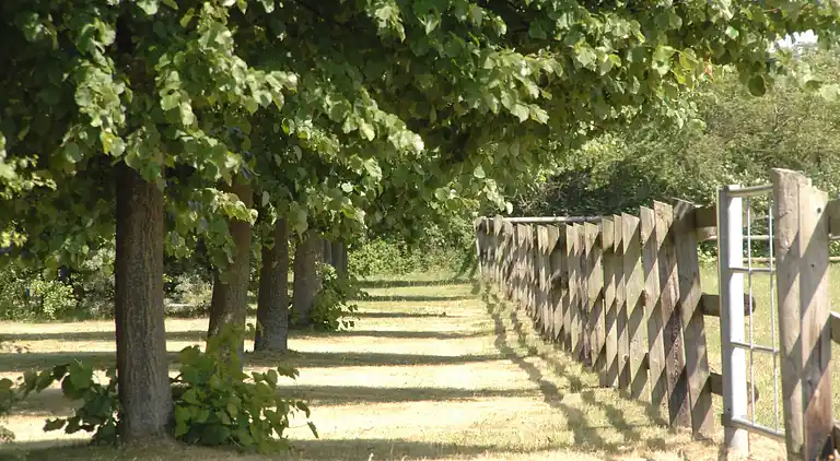 Ferielejlighed i Hirschburg