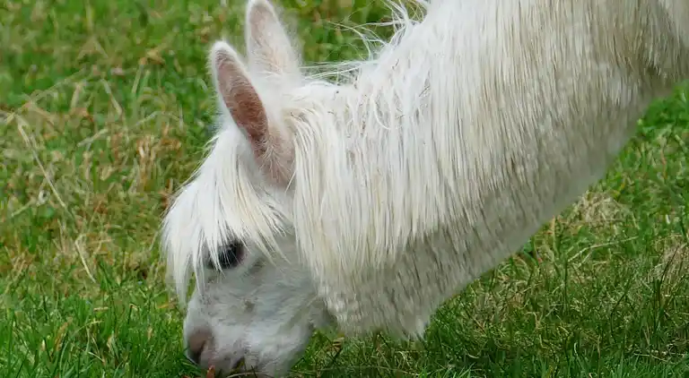 Ferielejlighed i Hirschburg