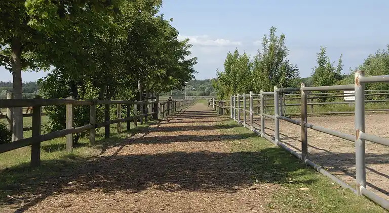 Gårdhus i Hirschburg