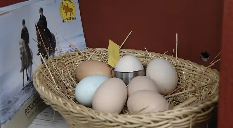 Gårdhus i Hirschburg