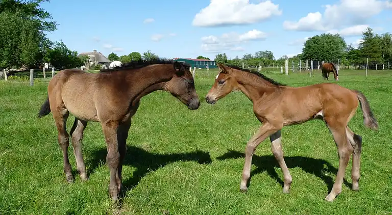 Ferielejlighed i Hirschburg