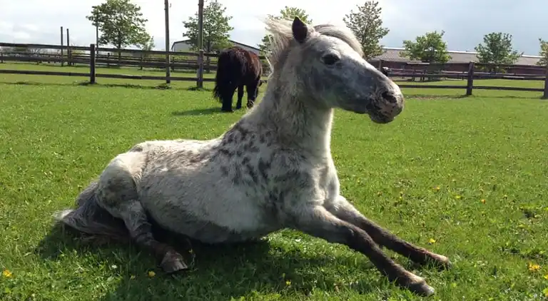 Ferielejlighed i Hirschburg