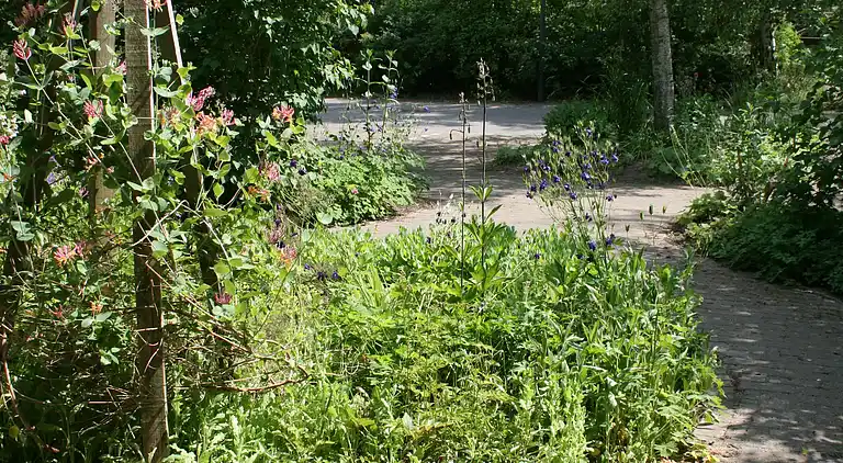 Gårdhus i Hirschburg