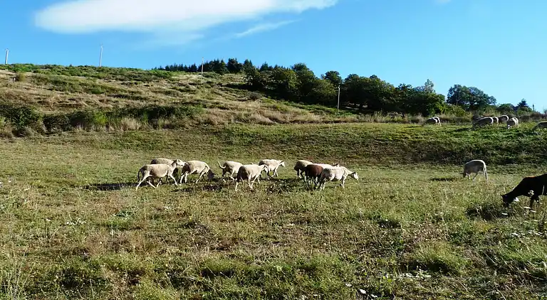 Vakantiehuis in Saint-Barthélemy-le-Meil