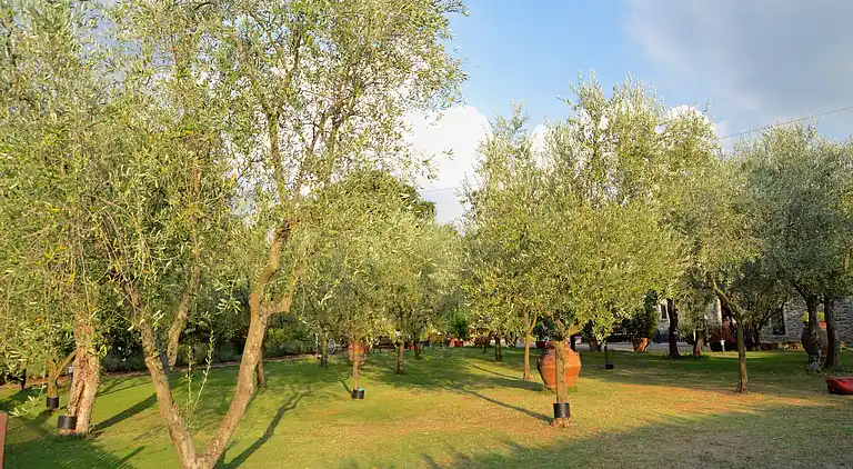 Apartment in Pian di Scò